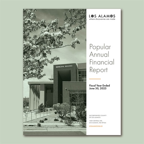 Image displaying the cover of the FY2025 PAFR