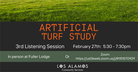 Artifical Turf Study-3rd (Facebook Ad).png
