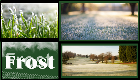 Frost update-1-FROST(facebook).png