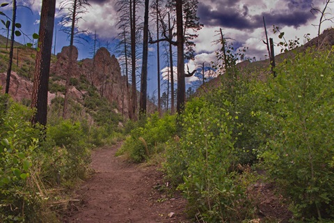 LA Canyon Trail.jpg