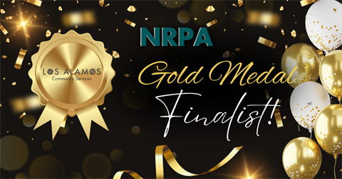 Black background with gold and silver confetti. Gold and white ballons on the right edge, and gold medal with CSD's logo in the middle. Words state 