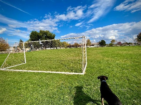 A sunny day at Community Soccer Field, The photo is taken behind the goal post. 
