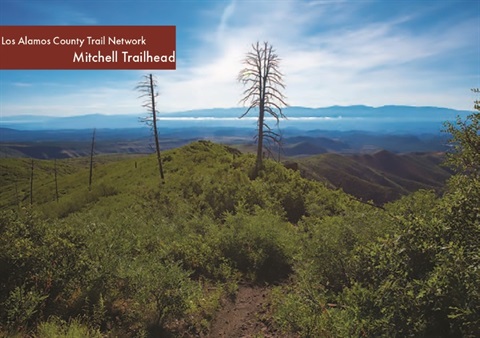 mitchell-trailhead.jpg