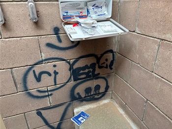 Vandalized first aid kit, graffitied wall, and sink at Ashley Pond Park
