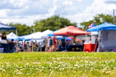 popup tents of vendors on green grass.jpeg