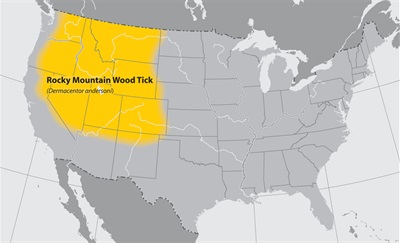 lgmap-rocky_mountain_wood_tick.jpg
