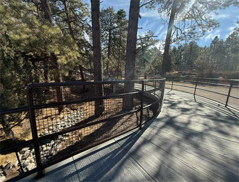 This is a photograph of the urban trail as it bends in the foreground and veers to the left into the background. On a sunny day, the trail has a metal rail on either side and is surrounded by pine trees. 