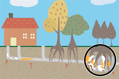 Graphic drawing of a house showing underground sewer pipes below it.