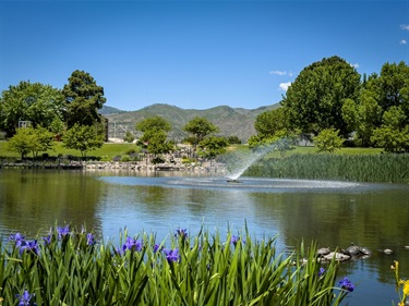 Picture of Ashley Pond in early Summer