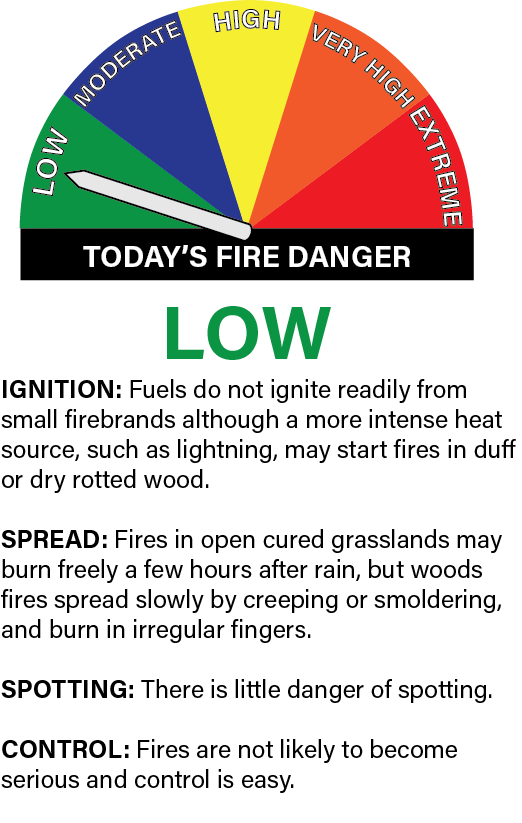 Today's Fire Danger metric set to Low